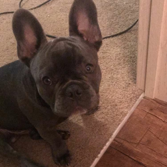 Meet your Posher, Melina - Picture 3 of 12